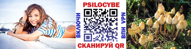 Галлюциногенные грибы GOLDEN TEACHER  Владикавказ 